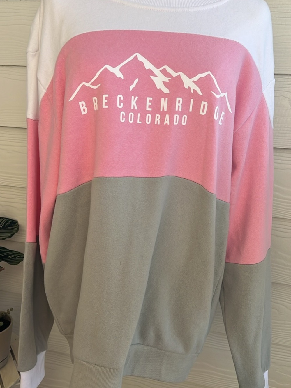 Breckenridge Colorblock Crewneck Sweatshirt | Medium